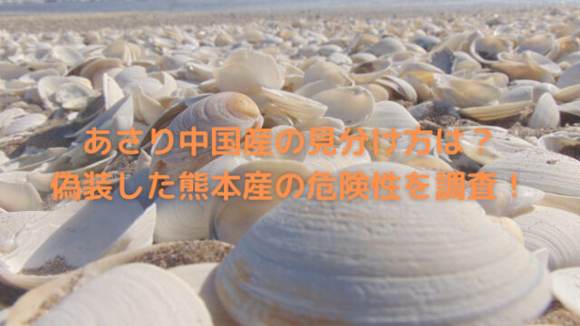 あさり中国産の見分け方は 偽装した熊本産の危険性はどうか調査 ふくすけブログ