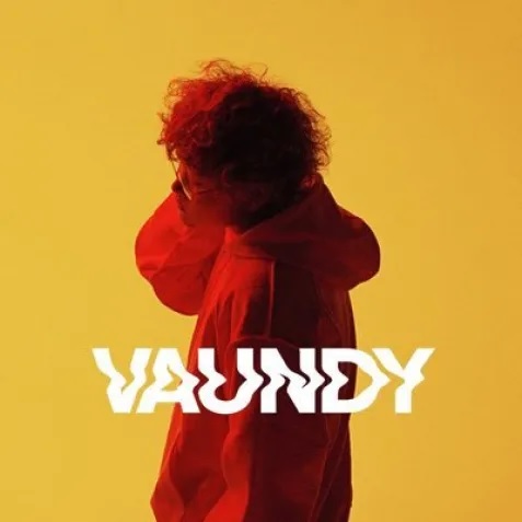 Vaundy2